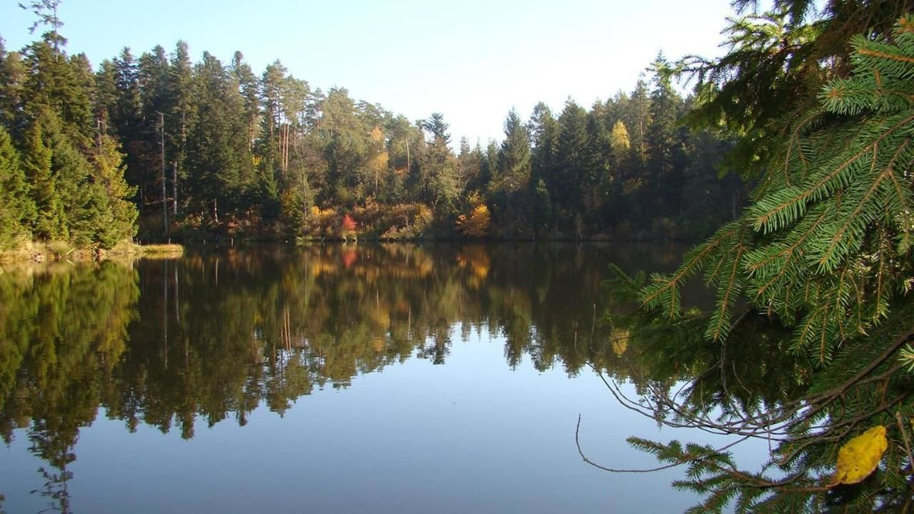 Лоджи Osada nad Szumem Józefów-5